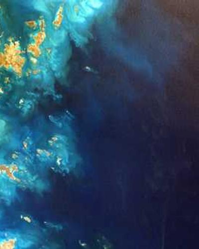 赵强 - 数据科学家